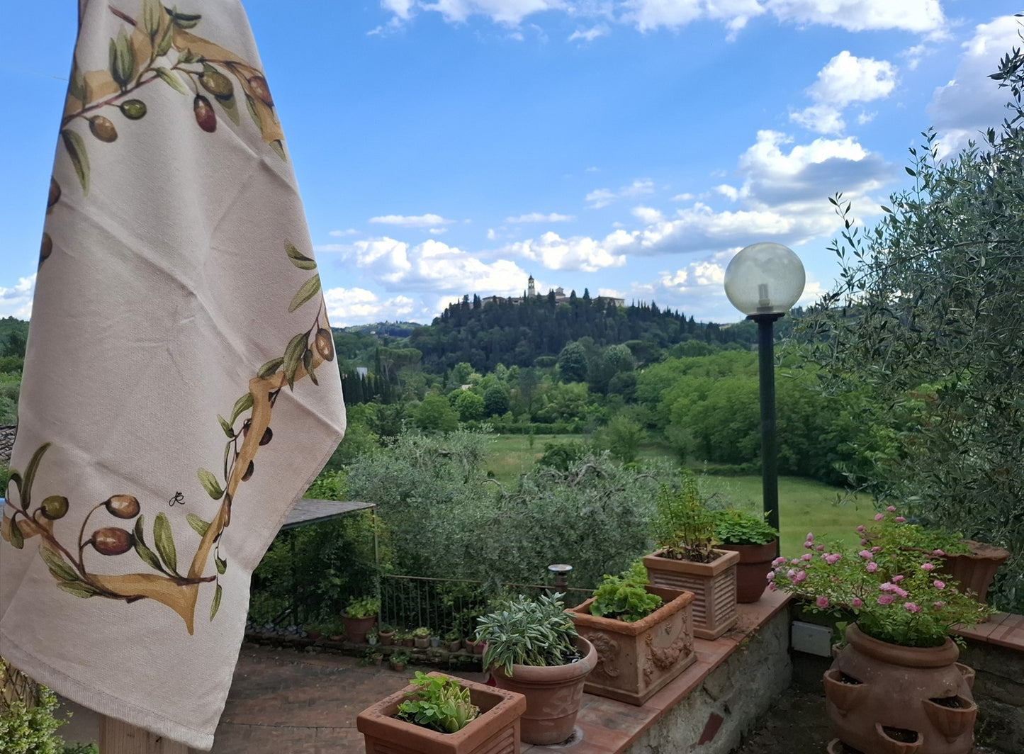 5F1 _Canovaccio cotone cornice olive